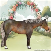 Horse Color:Silver Smoky Black Rabicano 