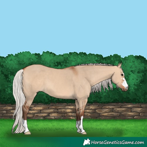 Horse Color:Silver Bay Dun 