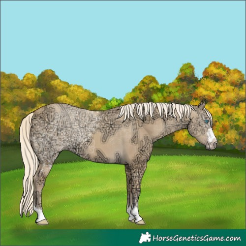 Horse Color:Gold Cream Champagne Ice Dun 