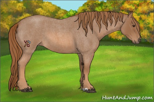 Horse Color:Red Roan 