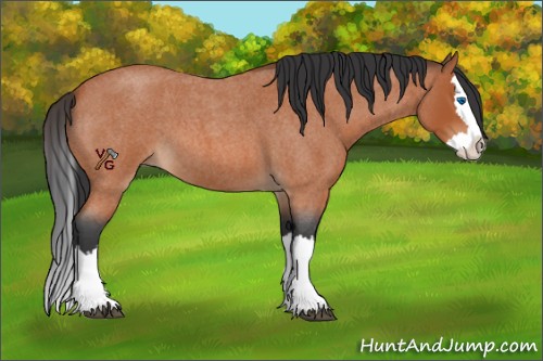Horse Color:Bay Roan Splash 
