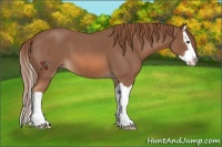 Horse Color:Red Roan Splash 