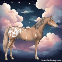Horse Color:White Spotted Gold Champagne Appaloosa 