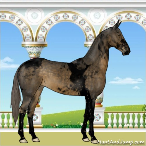 Horse Color:Void Chocolate Palomino Sabino Tobiano 