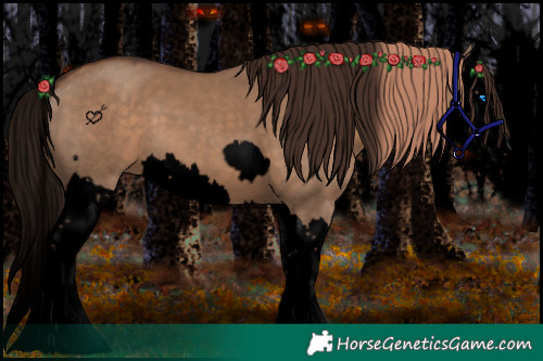 Horse Color:Void Liver Red Dun Splash  and Void Liver Red Dun Splash 