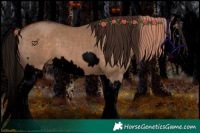 Horse Color:Void Liver Red Dun Splash  and Void Liver Red Dun Splash 