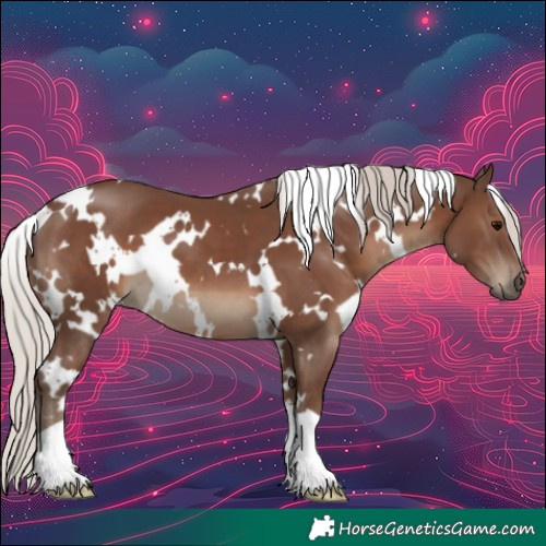 Horse Color:White Spotted Silver Black 
