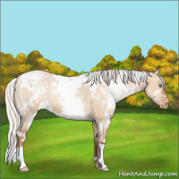 Horse Color:White Spotted Silver Brown Pearl Dun