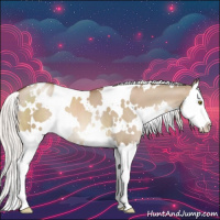Horse Color:White Spotted Silver Grullo Pearl Splash Varnish 