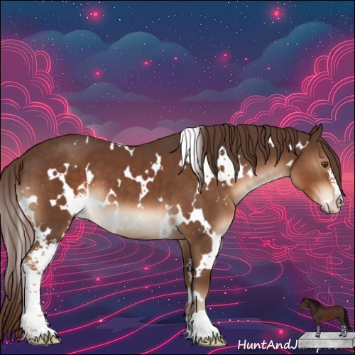 Horse Color:White Spotted Liver Chestnut Sabino