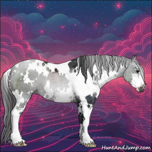 Horse Color:White Spotted Black Sabino 