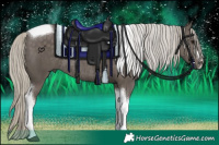 Horse Color:Silver Smoky Black Tobiano Rabicano