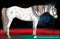 Horse Color:Sable Champagne Roan Dun Appaloosa Rabicano 