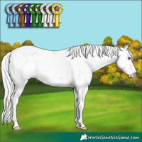 Horse Color:Plaid Silver Brown Pearl Sabino Appaloosa