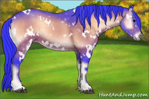 Horse Color:Watercolor White Spotted Brown Onyx 