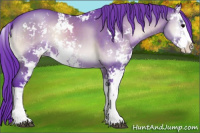 Horse Color:Watercolor Brown Onyx Sabino 