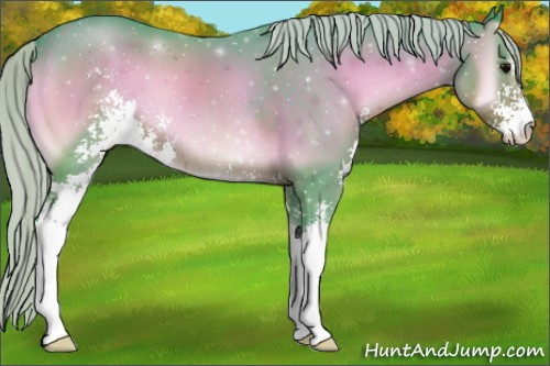 Horse Color:Watercolor Silver Blue Onyx Sabino 