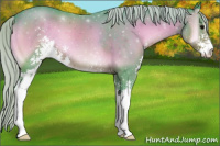 Horse Color:Watercolor Silver Blue Onyx Sabino 