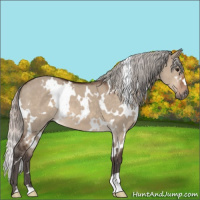 Horse Color:White Spotted Silver Brown Dun Mushroom 