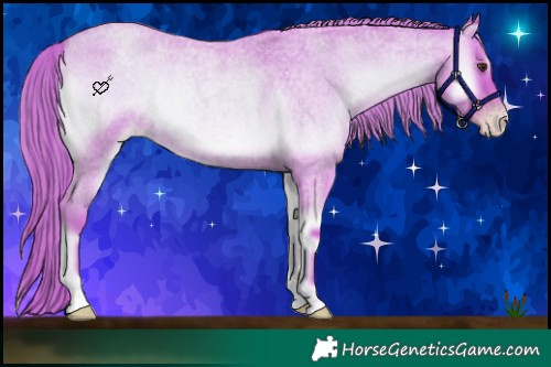 Horse Color:Watercolor Gold Champagne Roan Onyx