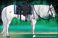 Horse Color:Watercolor White Spotted Silver Brown 