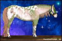 Horse Color:Watercolor Liver Red Onyx Roan Appaloosa 