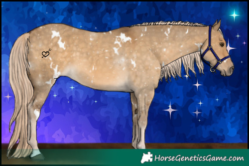 Horse Color:White Spotted Chocolate Palomino Dun