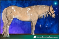 Horse Color:White Spotted Chocolate Palomino Dun 