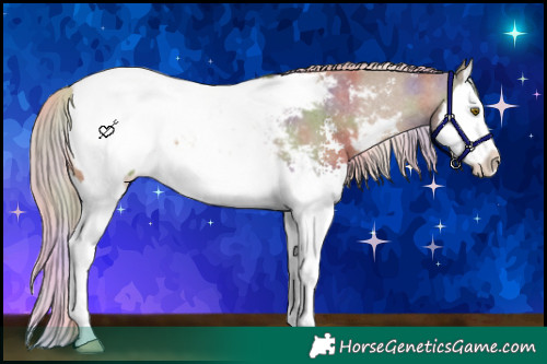 Horse Color:Nacre White Spotted Chocolate Palomino Sabino Splash Appaloosa