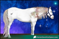 Horse Color:Nacre White Spotted Chocolate Palomino Sabino Splash Appaloosa 