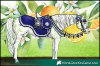 Horse Color:Watercolor Chocolate Palomino Sabino Tobiano Appaloosa 