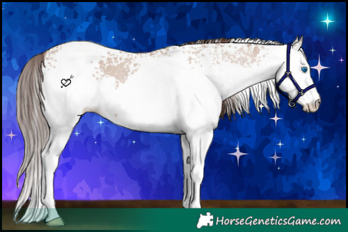 Horse Color:White Spotted Classic Champagne Dun Splash 