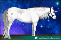 Horse Color:White Spotted Classic Champagne Dun Splash 