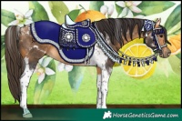 Horse Color:Buckskin Tobiano 