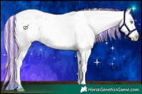 Horse Color:Painted White Spotted Gold Cream Champagne Ice Splash Appaloosa 