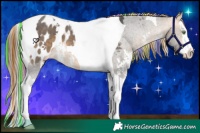 Horse Color:Painted Buckskin Sabino Splash Tobiano Blanket 