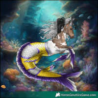 Horse Color:White Spotted Brown Dun Tobiano 