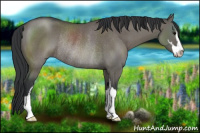 Horse Color:Grullo Sabino Rabicano