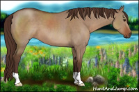 Horse Color:Liver Red Dun 