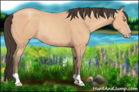 Horse Color:Amber Champagne Rabicano 