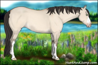 Horse Color:Amber Champagne Dun