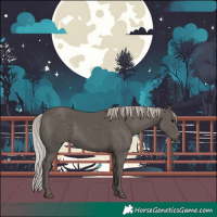 Horse Color:Silver Black 