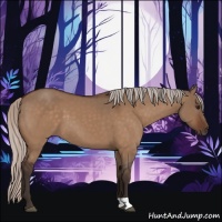 Horse Color:Silver Bay Dun 