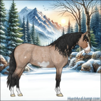 Horse Color:Brown Roan Dun Frame 