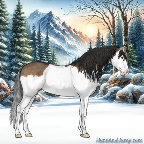 Horse Color:Bay Dun Splash 