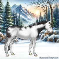 Horse Color:Brown Splash Frame 