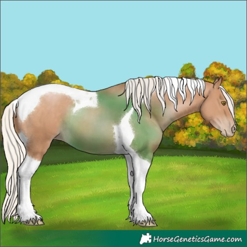 Horse Color:Silver Black Pearl Tobiano 