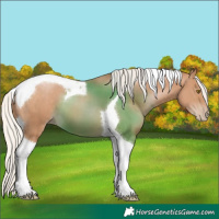 Horse Color:Silver Black Pearl Tobiano 