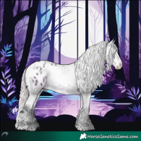 Horse Color:Silver Buckskin Chinchilla Dun Splash Tobiano Appaloosa 
