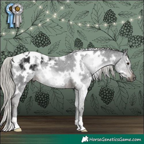 Horse Color:Gray White Spotted Silver Brown Varnish 